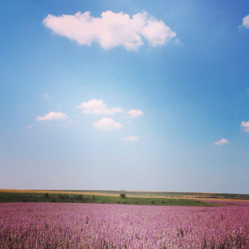 Кочергіне з panoramio.com - Кочергино