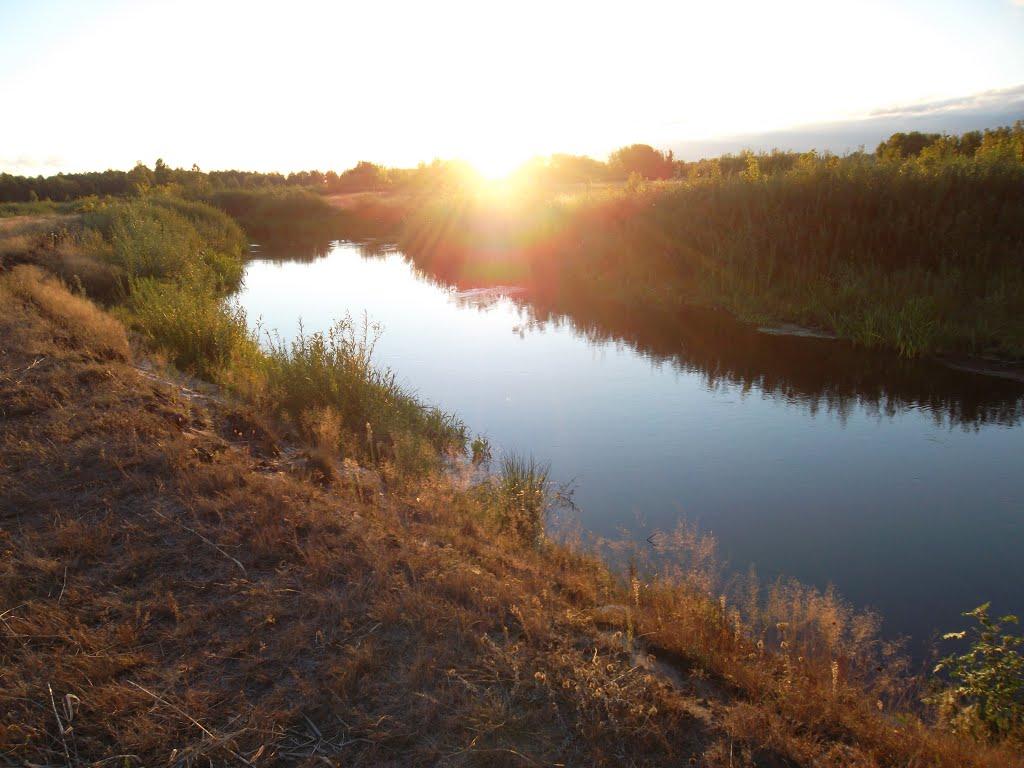 Ялцівка з panoramio.com - Ялцовка
