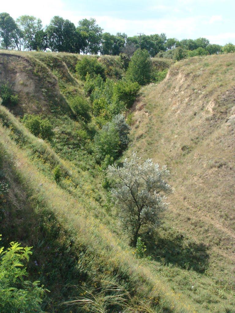 Мартоноша з panoramio.com - Мартоноша