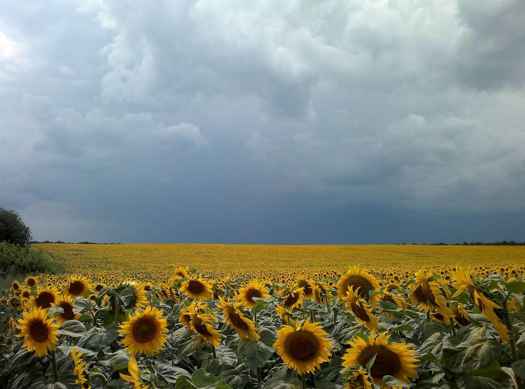 Морозівка з panoramio.com - Морозовка