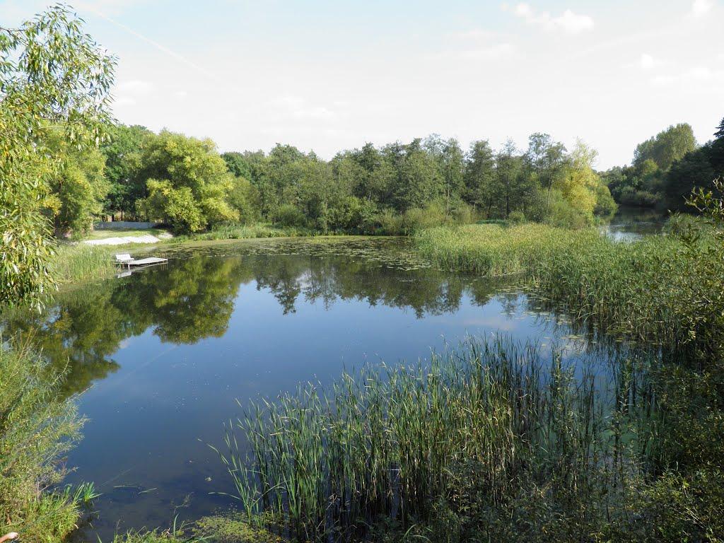 Івачів Горішній з panoramio.com - Ивачев Горишний