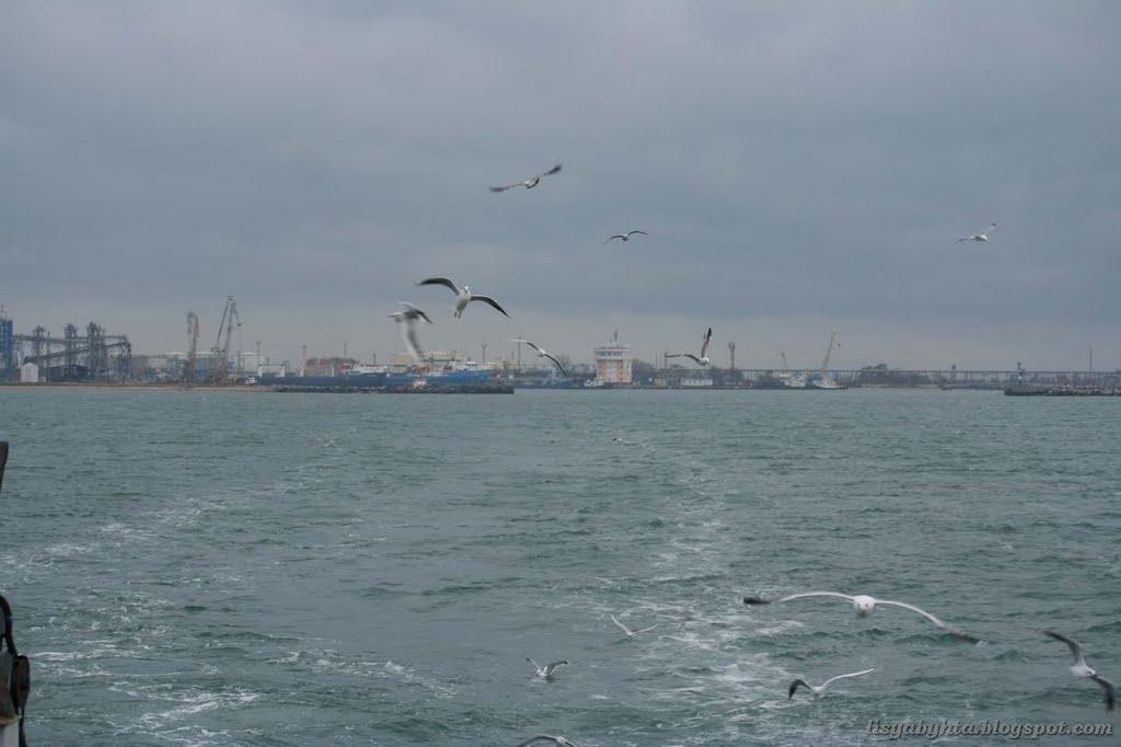 Глазівка з panoramio.com - Глазовка