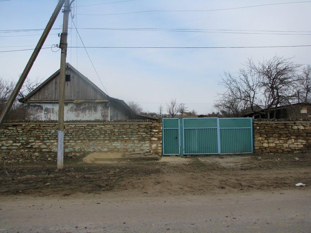 Олександрівка з panoramio.com - Александровка