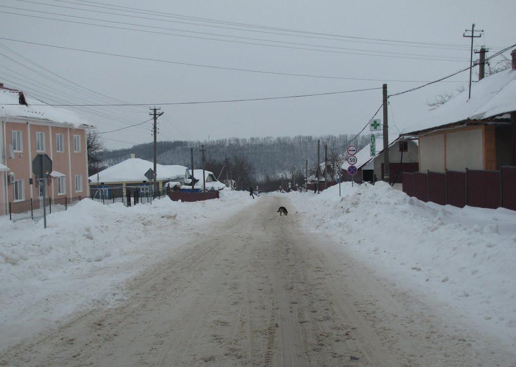 Синьків з panoramio.com - Синьків