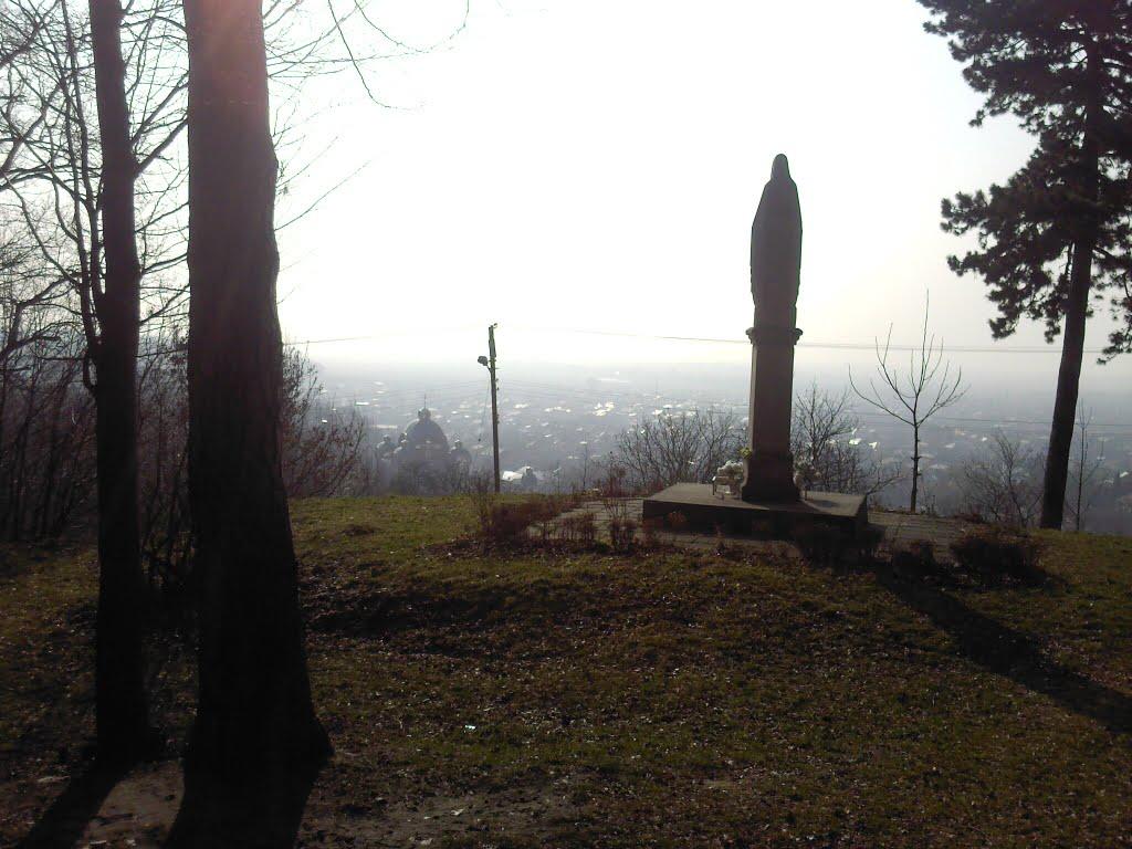 Винники з panoramio.com - Винники