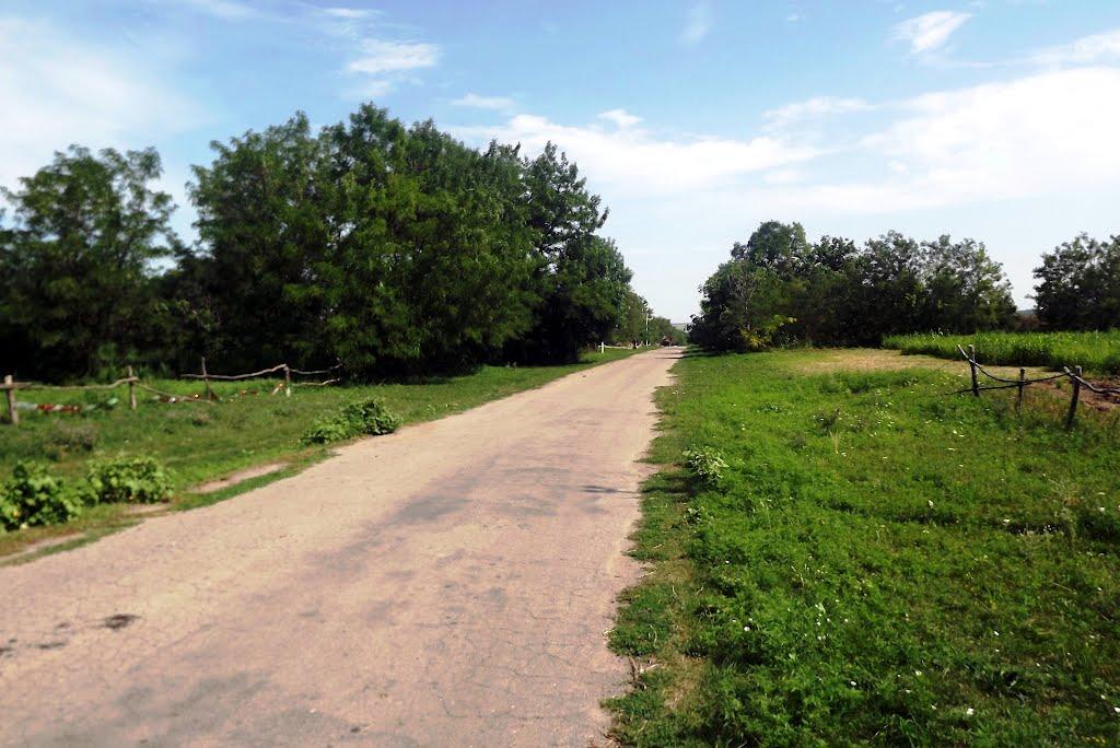 Мартоноша з panoramio.com - Мартоноша