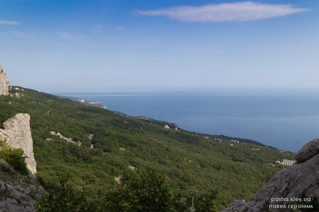 Олива з panoramio.com - Olyva