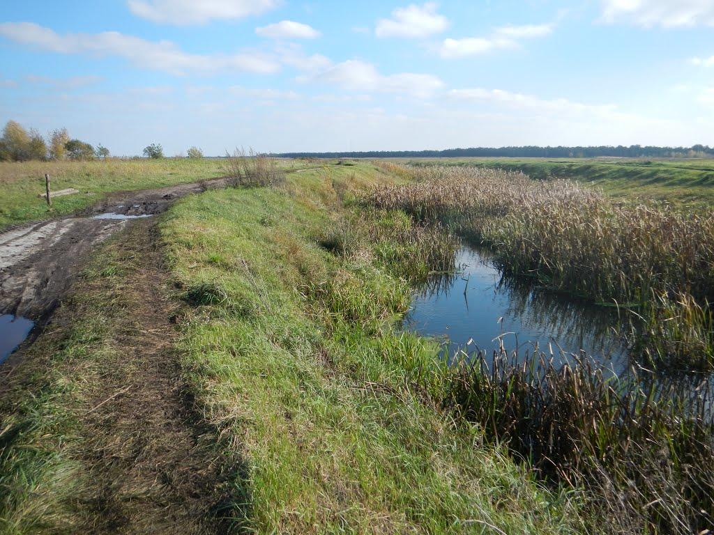 Тишиця з panoramio.com - Тишиця