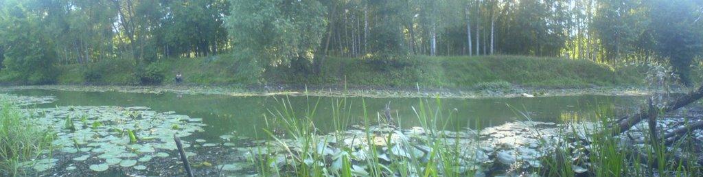 Звенигородка з panoramio.com - Zvenigorodka