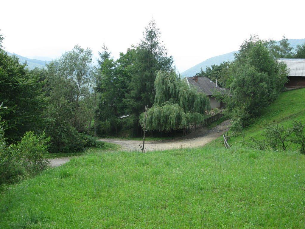 Вишка з panoramio.com - Вышка