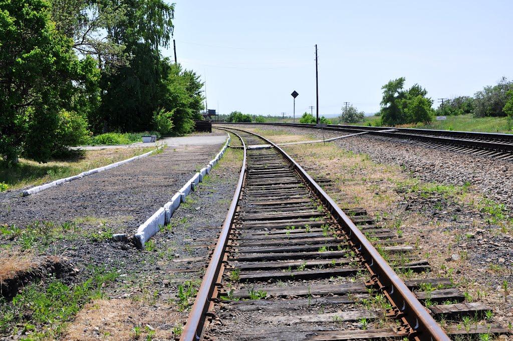 Новосвітлівка з panoramio.com - Новосветловка