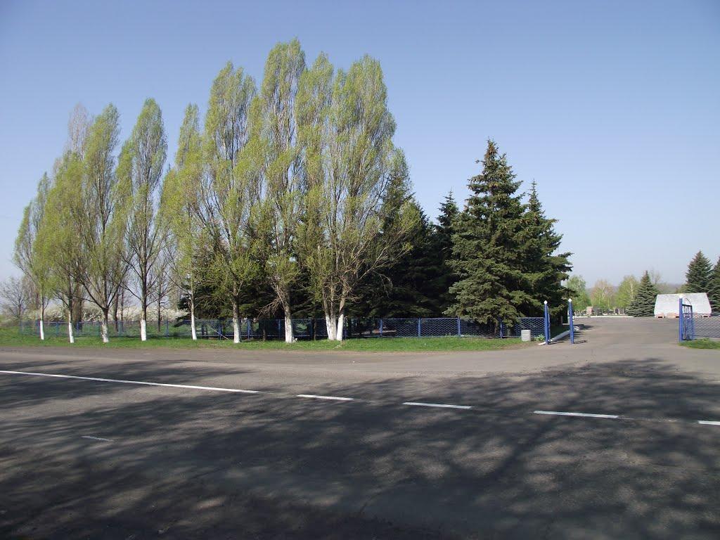 Сніжне з panoramio.com - Снежное