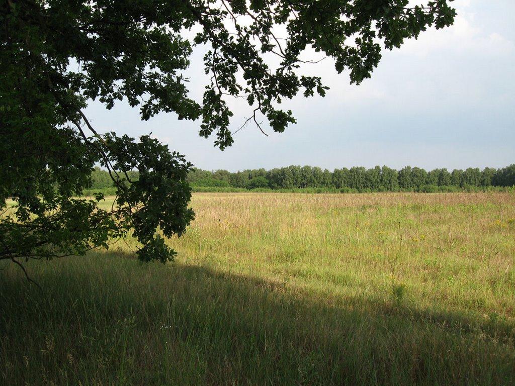 Кролевець з panoramio.com - Кролевець
