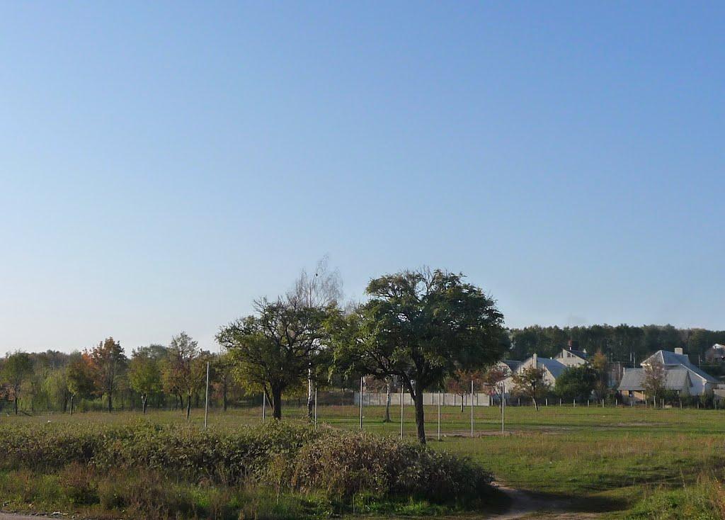 Бабаї з panoramio.com - Babayi