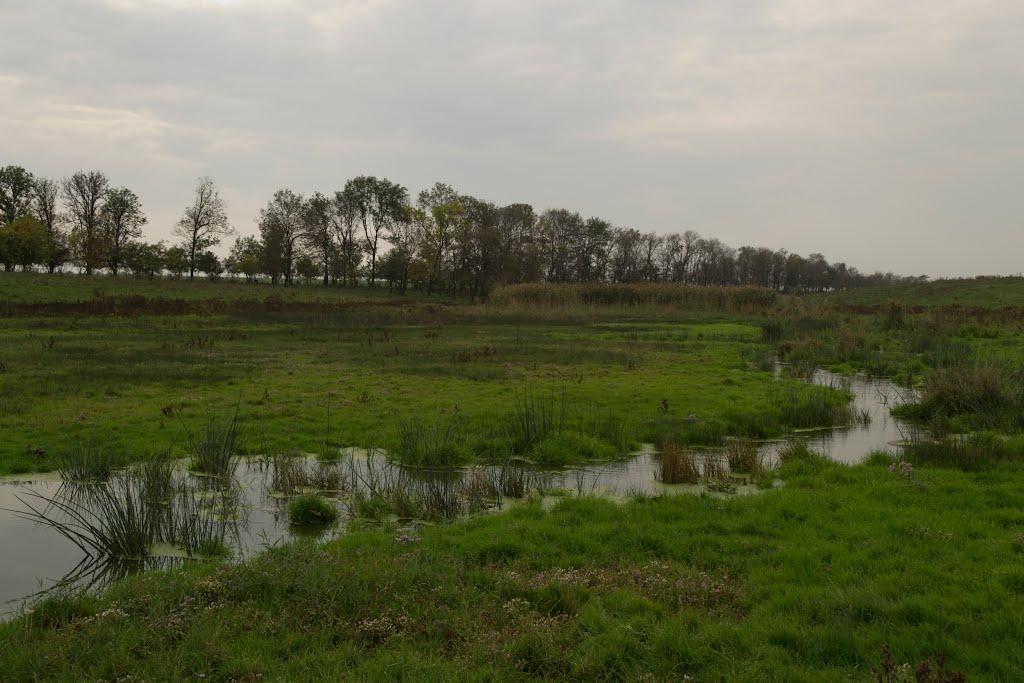 Новософіївка з panoramio.com - Новософіївка