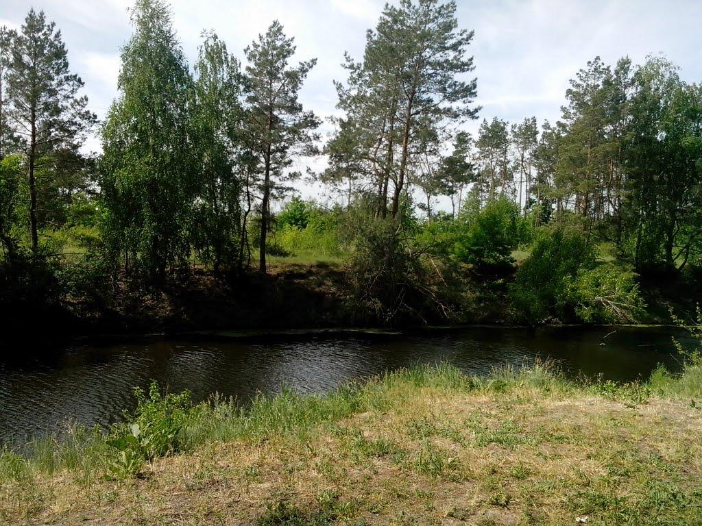 Свидівок з panoramio.com - Svydivok