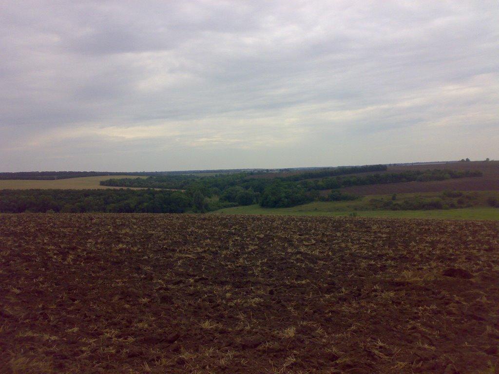 Вільшанка з panoramio.com - Вільшанка