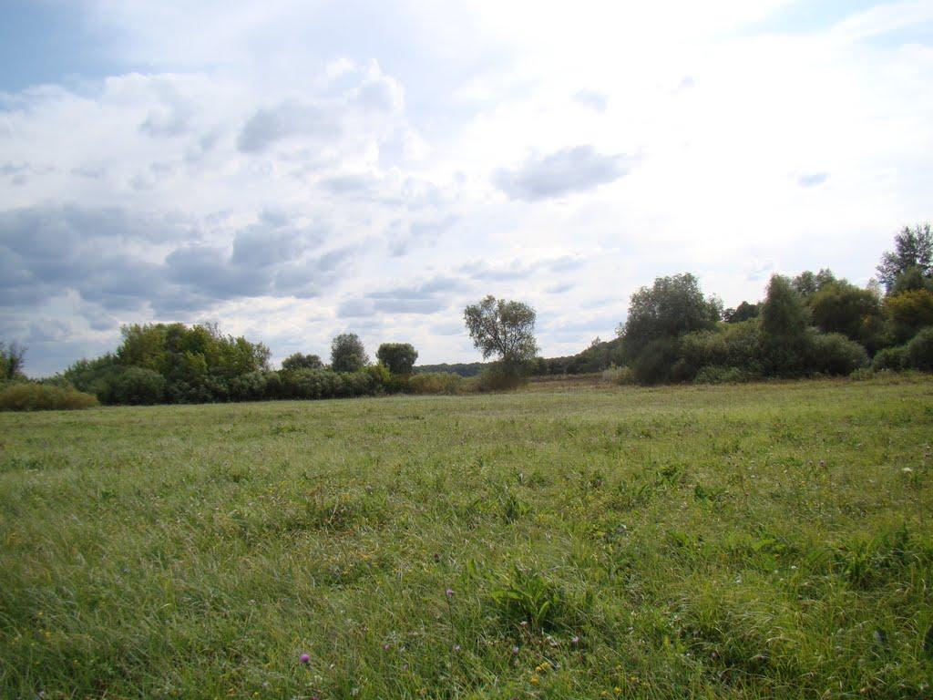 Довжик з panoramio.com - Довжик