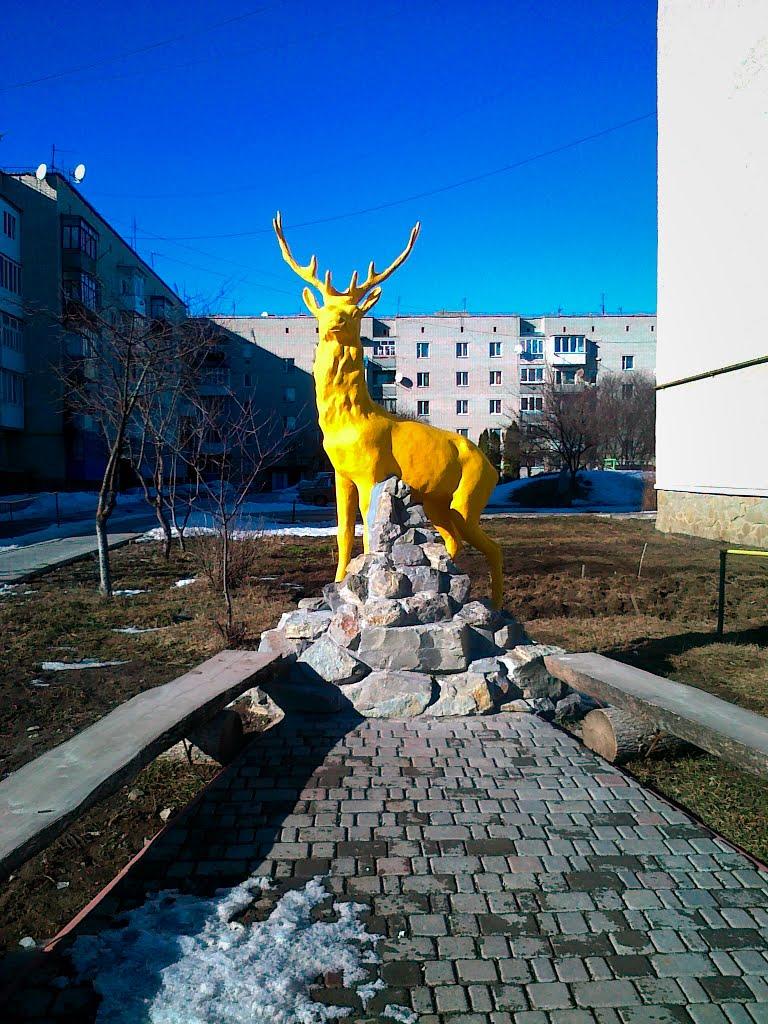 Біла з panoramio.com - Біла