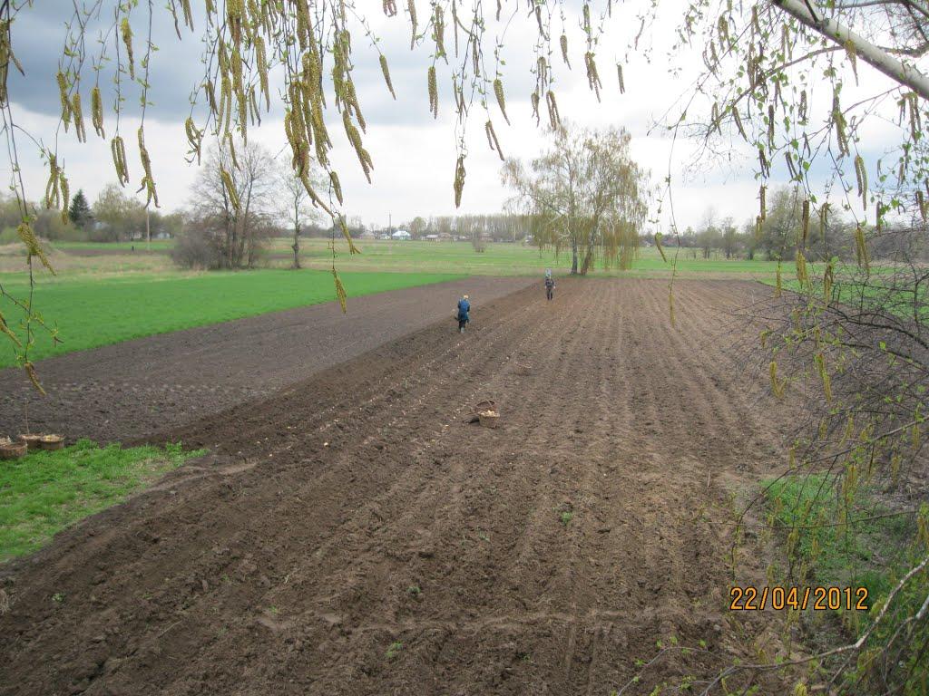 Ушня з panoramio.com - Ушня