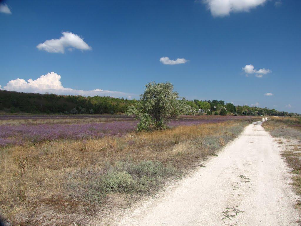 Богатир з panoramio.com - Богатир