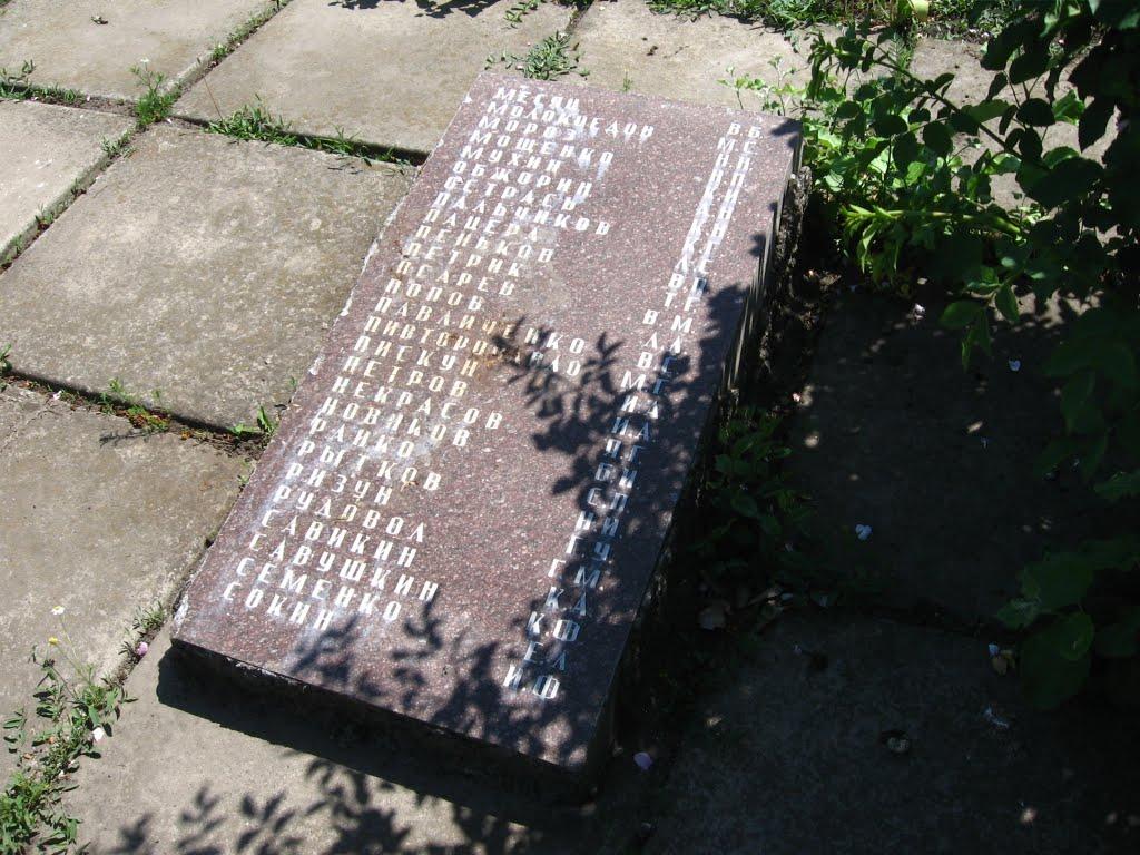 Новомалинівка з panoramio.com - Новомалинівка