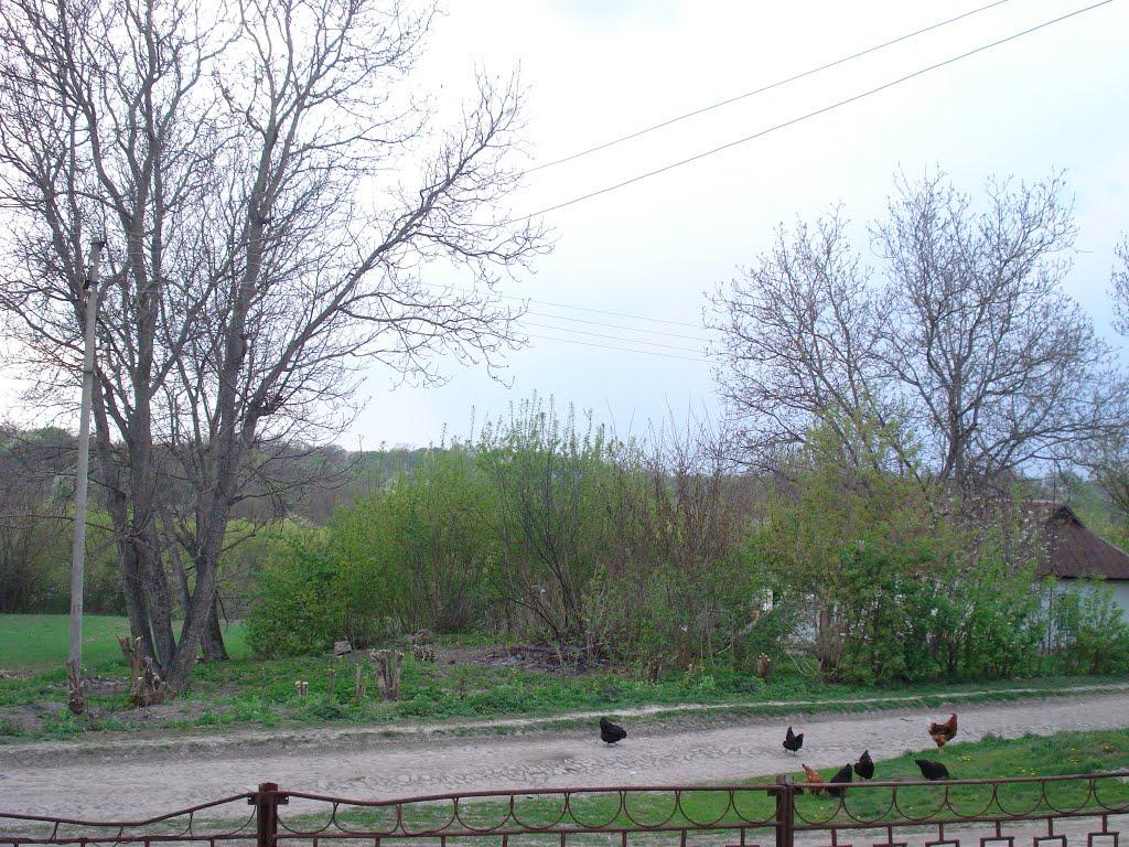 Хижня з panoramio.com - Хижня