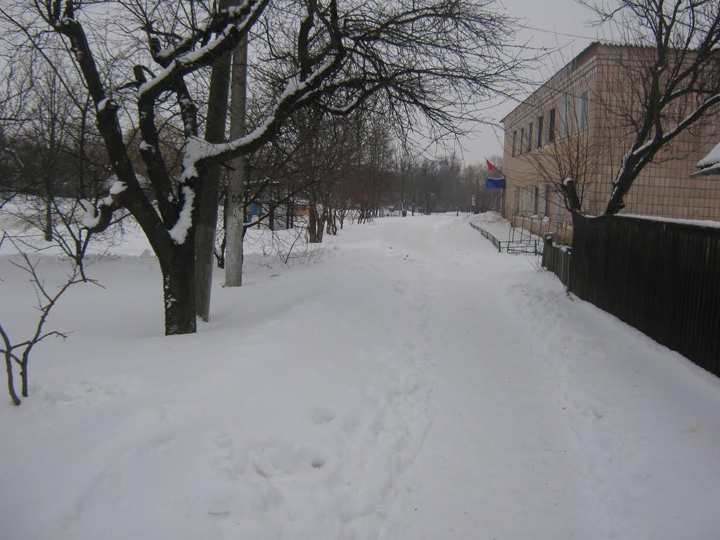 Срібне з panoramio.com - Срібне