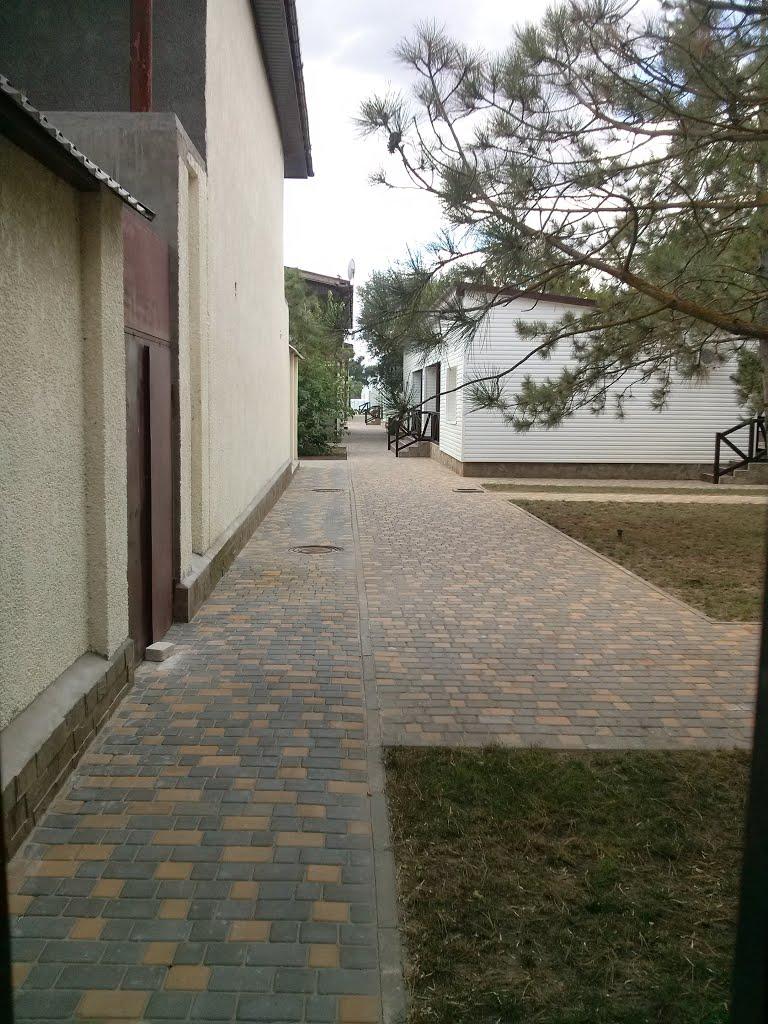 Коблеве з panoramio.com - Коблево