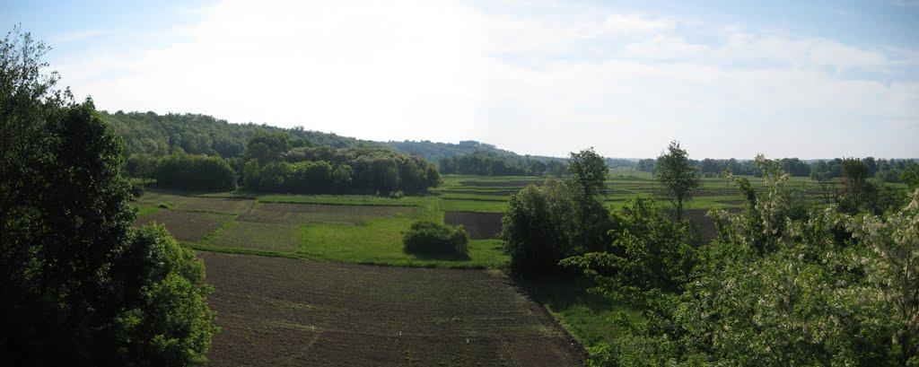 Срібне з panoramio.com - Сребное