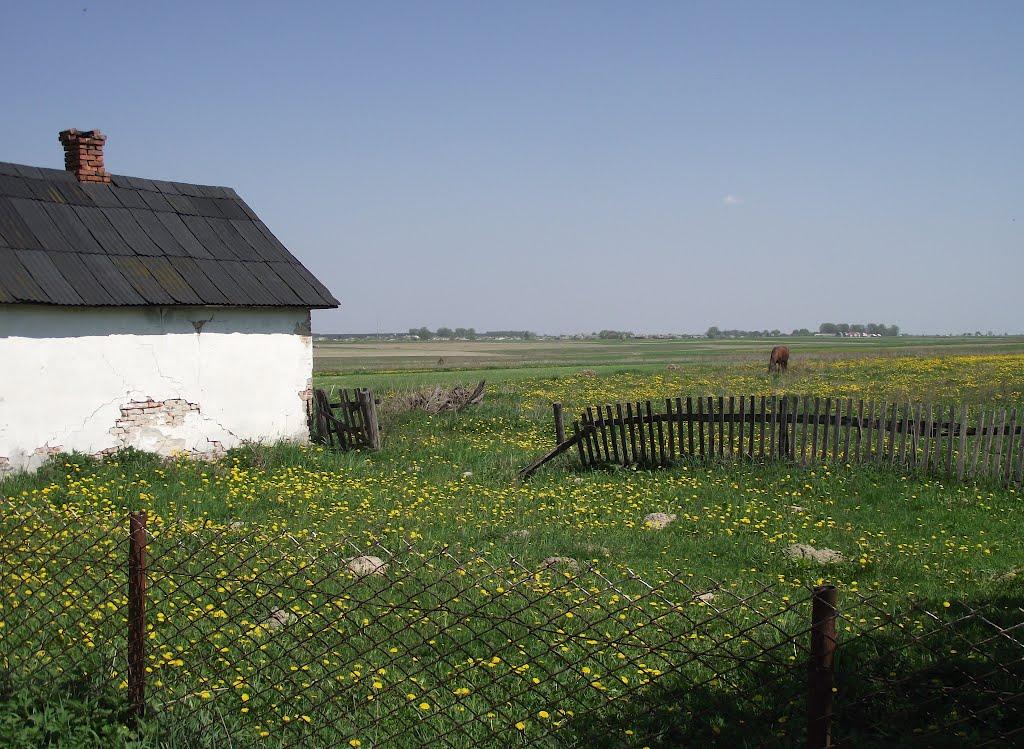 Постійне з panoramio.com - Постійне