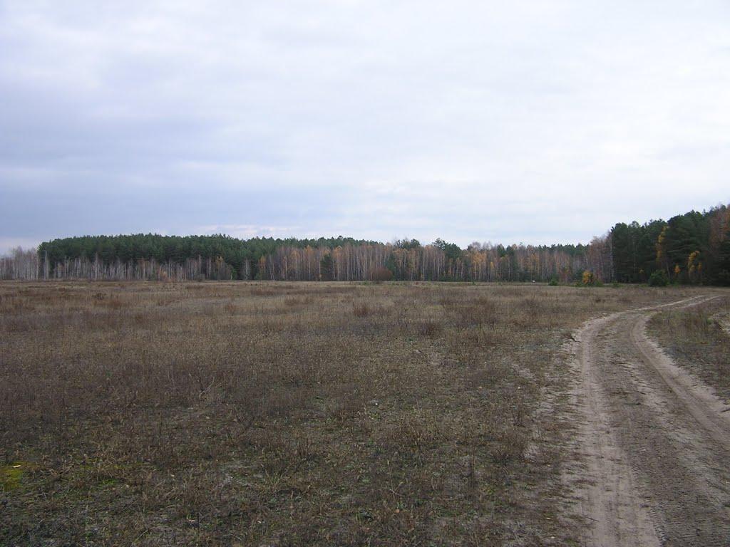 Глібівка з panoramio.com - Glibivka