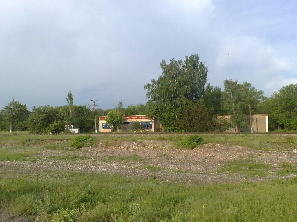 Новосвітлівка з panoramio.com - Новосветловка