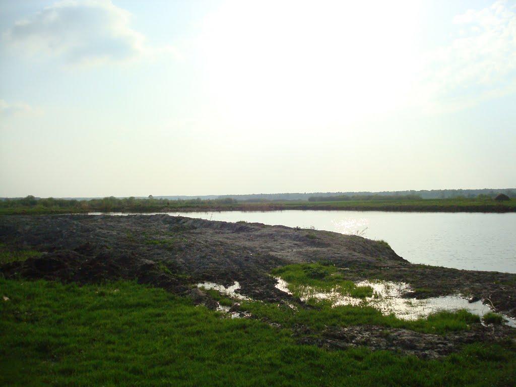 Дроздні з panoramio.com - Дроздни