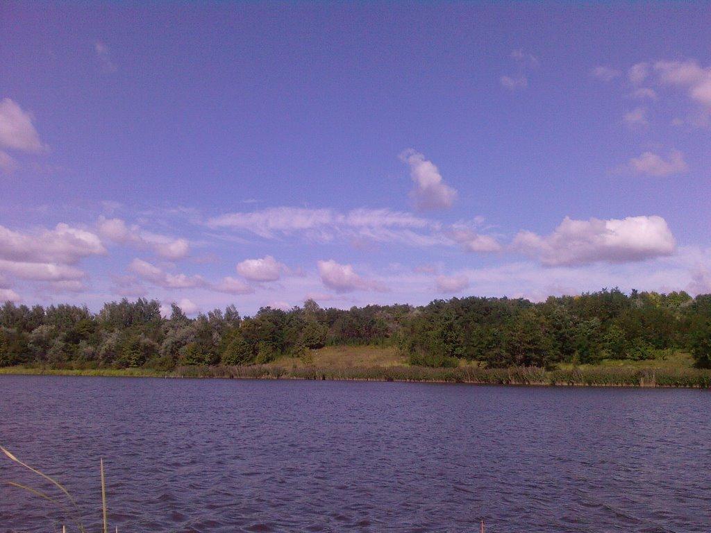 Шестакове з panoramio.com - Шестакове