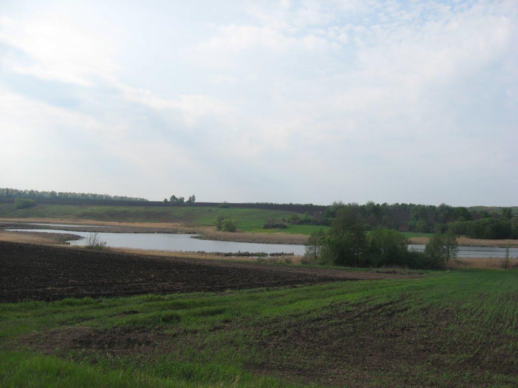 Мирошниківка з panoramio.com - Мирошниковка
