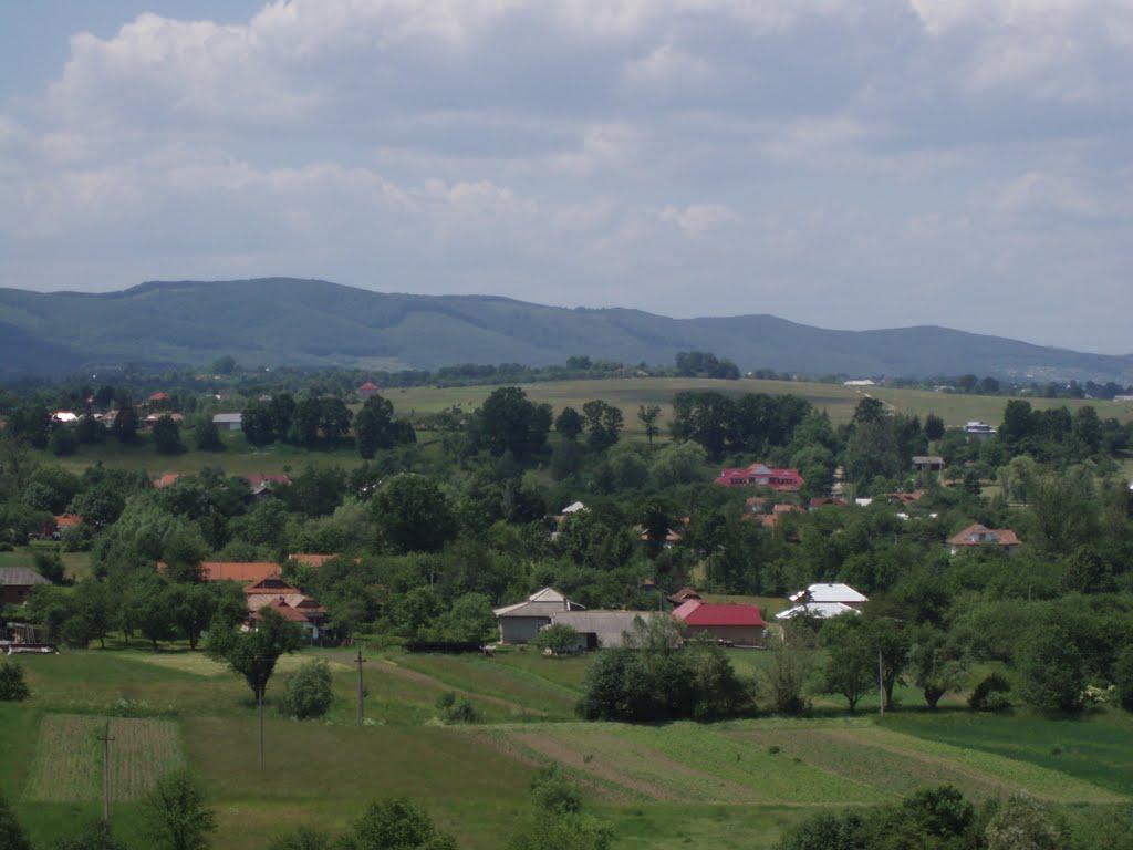 Мишин з panoramio.com - Myshyn