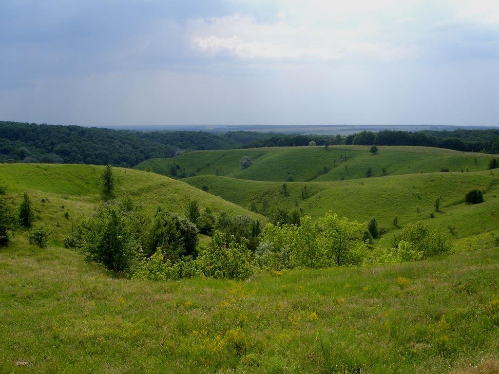 Курилівка з panoramio.com - Куриловка