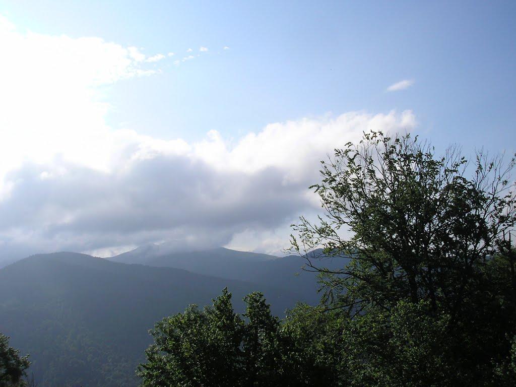 Кваси з panoramio.com - Квасы