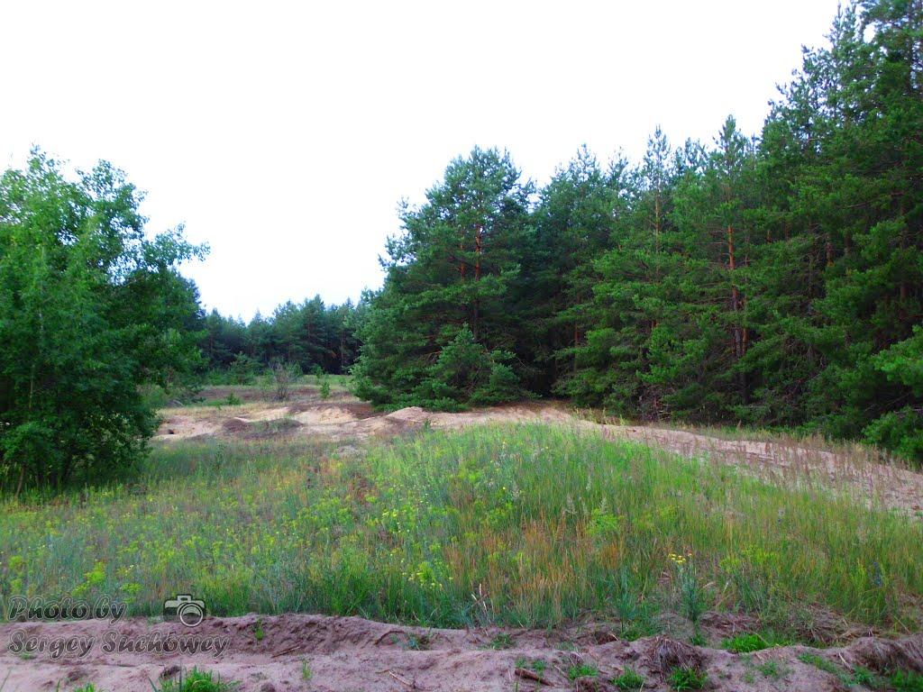 Жовтневе з panoramio.com - Жовтневое