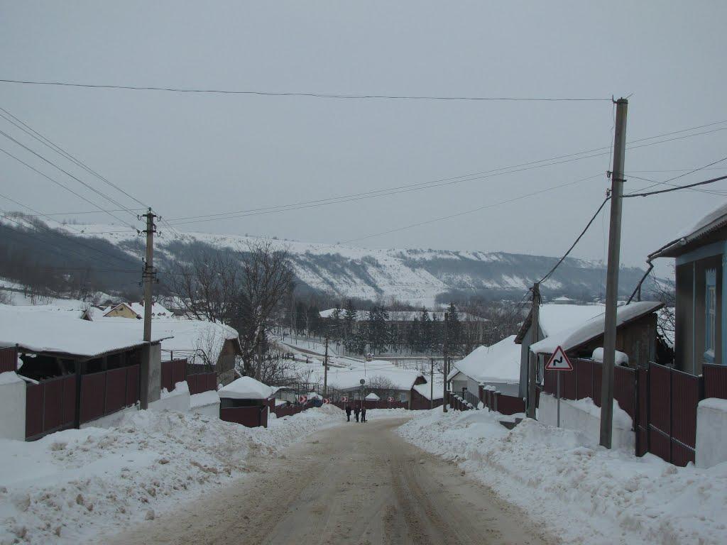 Брідок з panoramio.com - Брідок