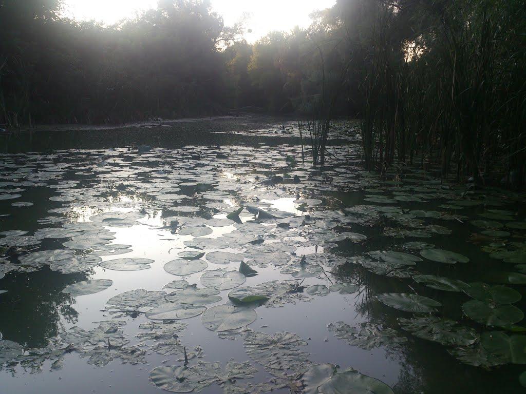 Стебне з panoramio.com - Стебное