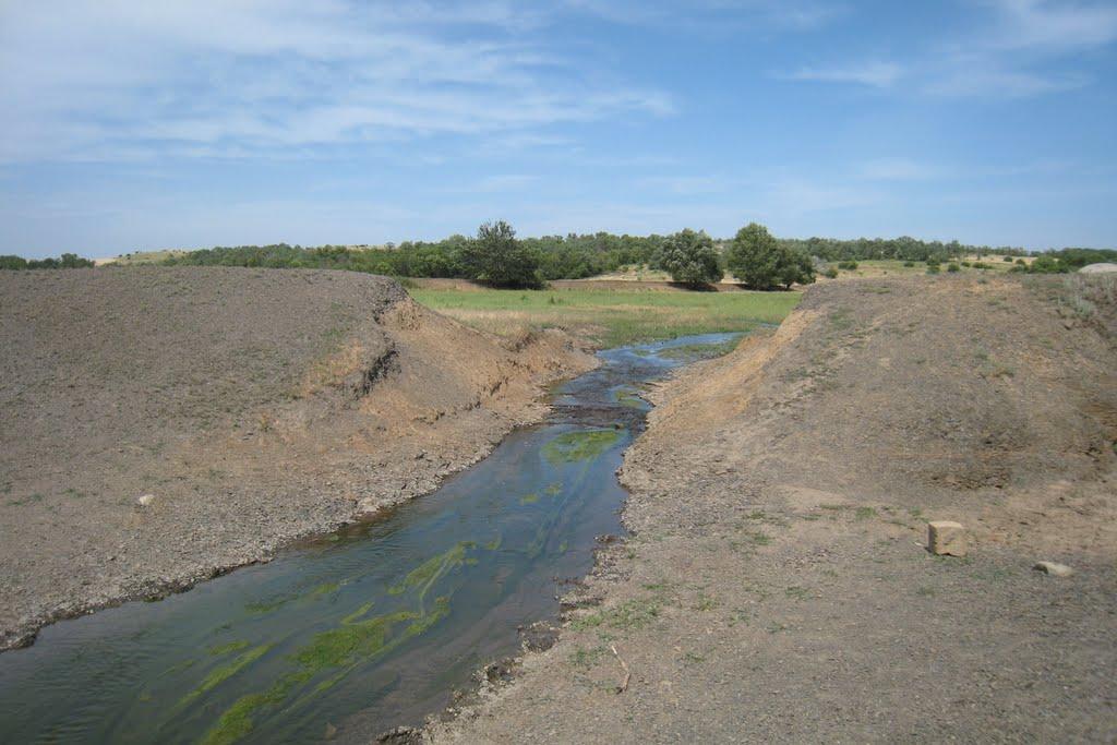 Кам'янка з panoramio.com - Каменка