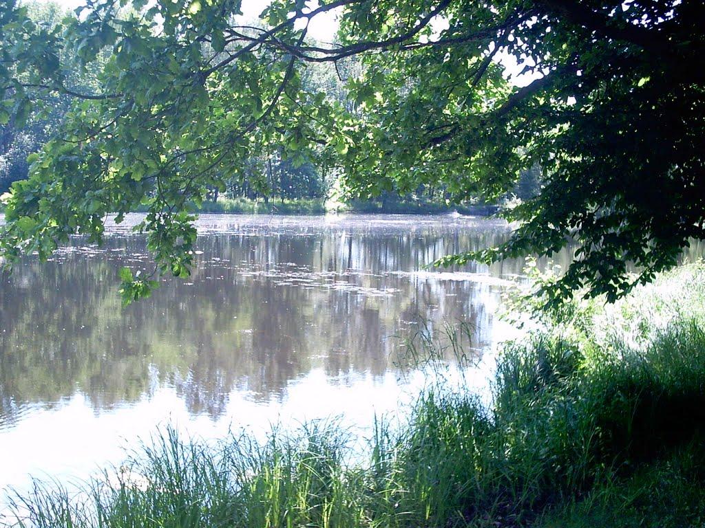 Воля-Старицька з panoramio.com - Воля-Старицька