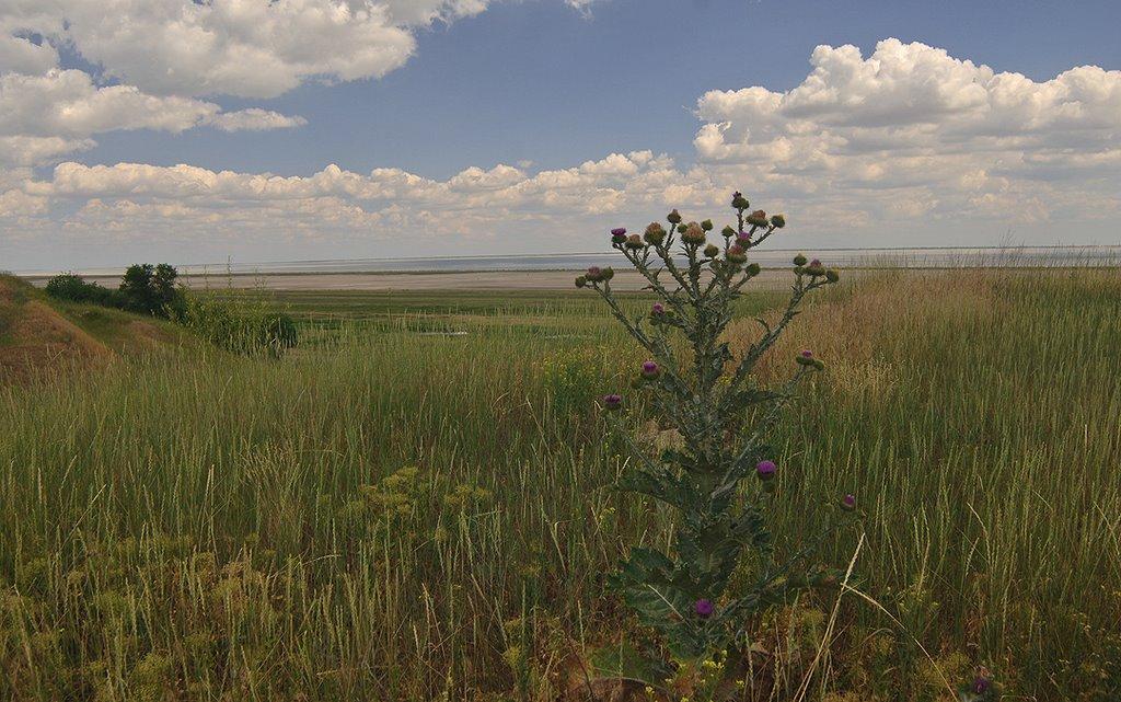 Охрімівка з panoramio.com - Охримовка