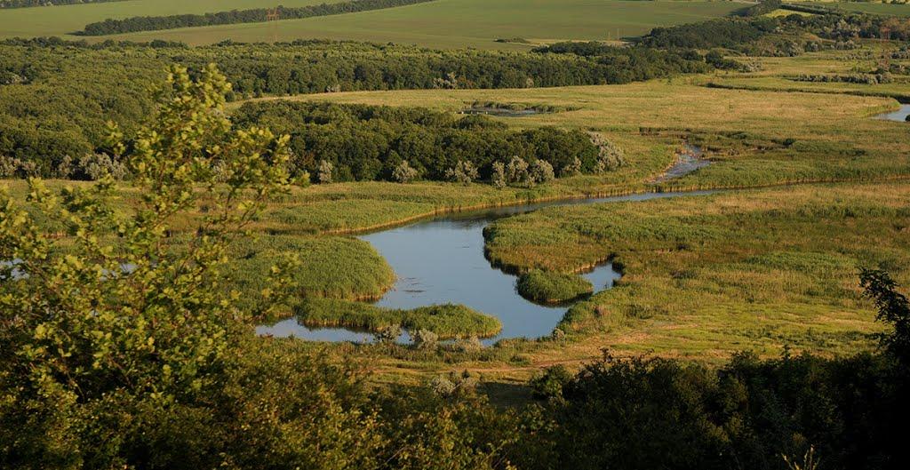 Олександро-Калинове з panoramio.com - Олександро-Калинове
