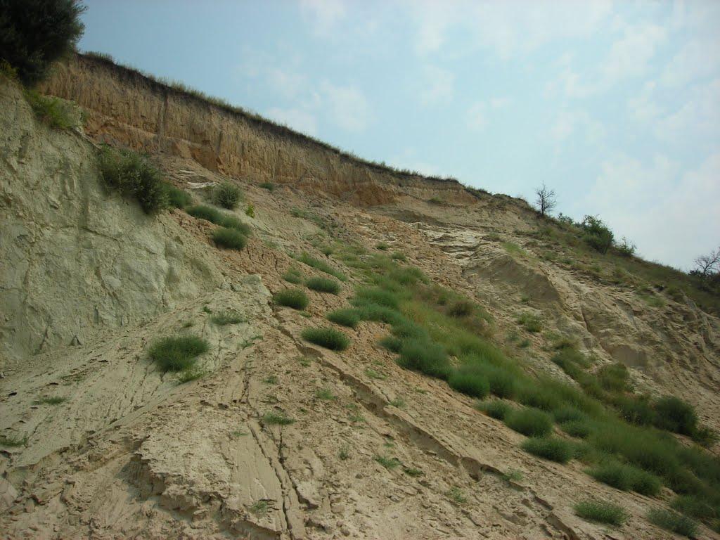 Градизьк з panoramio.com - Градижск