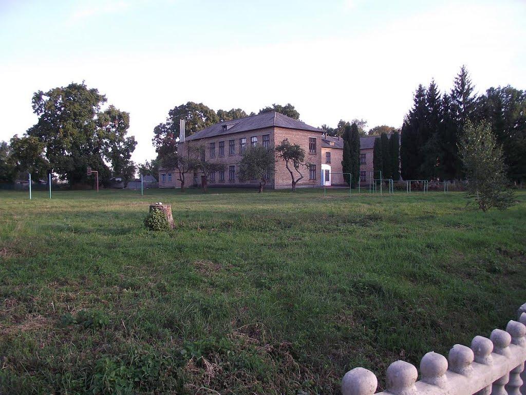 Розаліївка з panoramio.com - Rozaliyivka