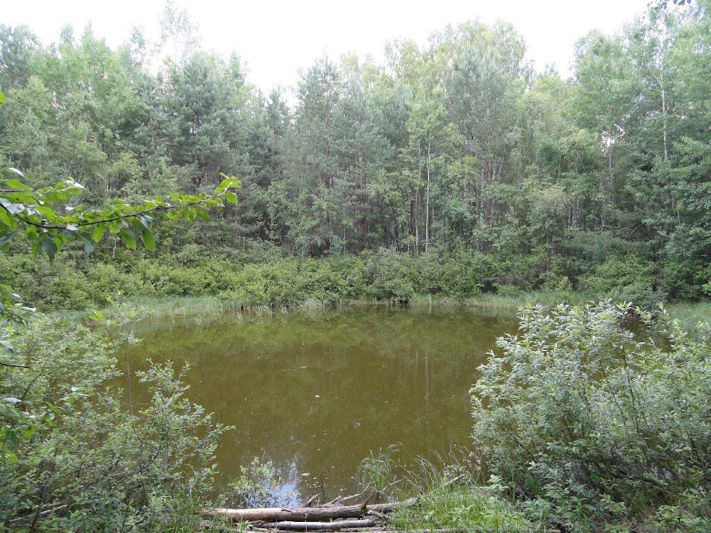 Хрипськ з panoramio.com - Хрипск