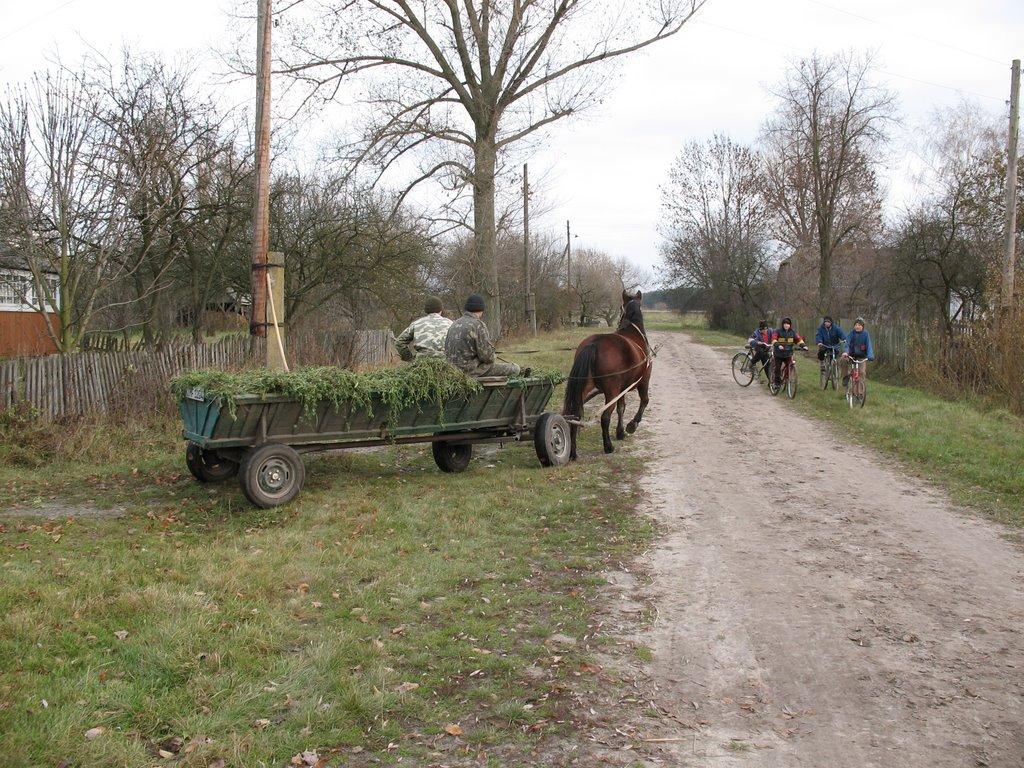 Кривлин з panoramio.com - Kryvlyn